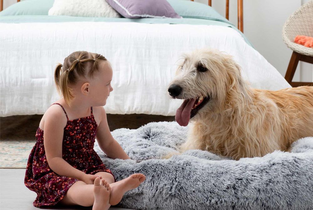 toddler with shaggy dog