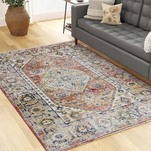 Repo Rug Vintage Red Multi-Color Medallion Rug