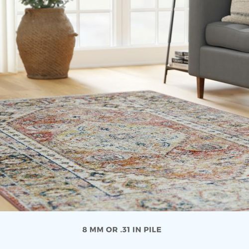 Repo Rug Vintage Red Multi-Color Medallion Rug